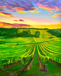 Bright Vineyard Painting
